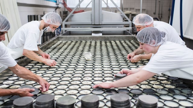 Der Tête de Moine-Käse wird produziert, aufgenommen in der Käserei Josef Spielhofer im Berner Jura. Der Tête de Moine-Käse wird produziert, aufgenommen in der Käserei Josef Spielhofer im Berner Jura.
