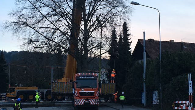 Baum neben Haus mit Lastwagen davor Baum neben Haus mit Lastwagen davor