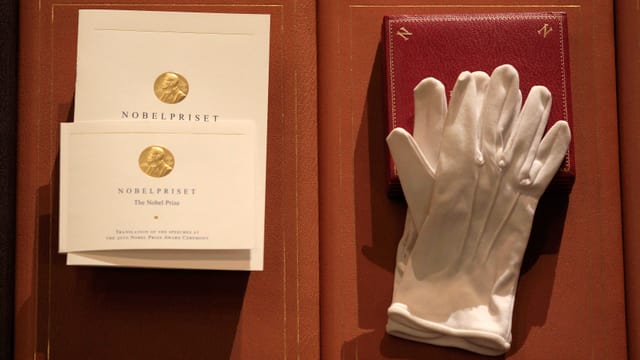 Medaille, Urkunde und Handschuhe Medaille, Urkunde und Handschuhe