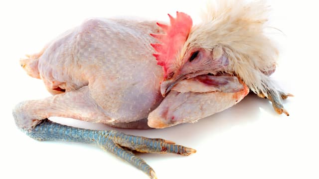 Bresse.Huhn Bresse.Huhn