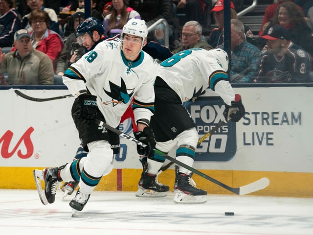 Eishockey-Spieler Eishockey-Spieler