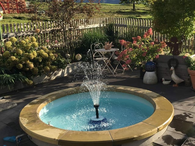 Bildergalerie - Die schönsten Erinnerungen an diesen Sommer - Radio SRF