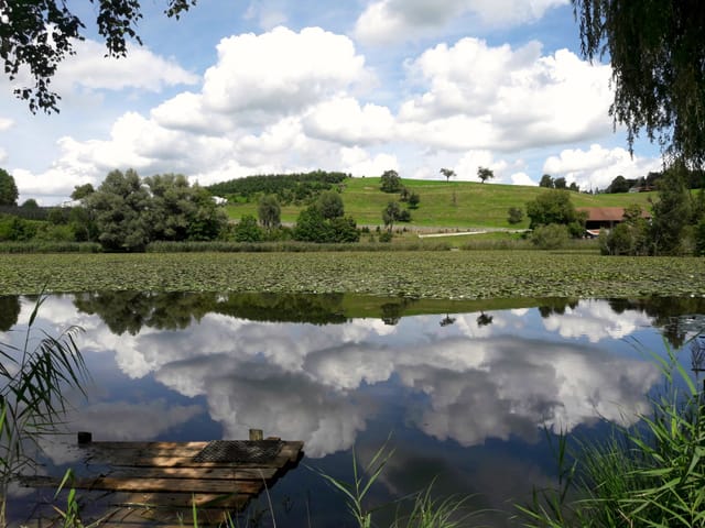 Wolken spiegeln sich an der Seeoberfläche.