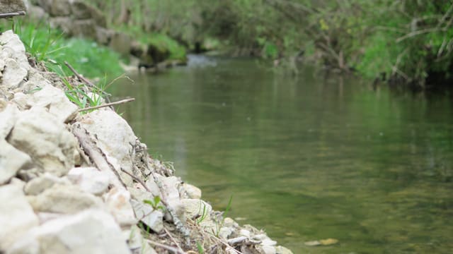 Kleiner Fluss mit Uferböschung Kleiner Fluss mit Uferböschung