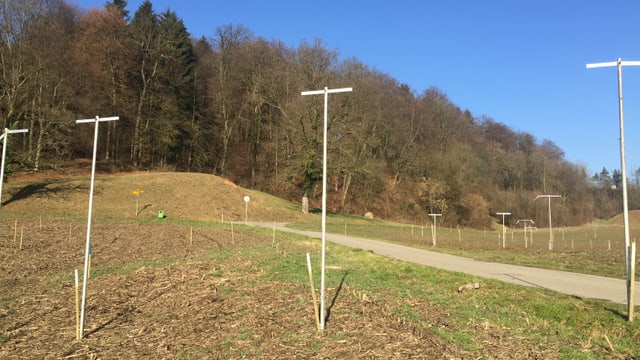 Profile der Umfahrung Profile der Umfahrung