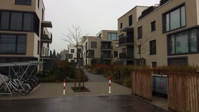 Neubausiedlung Neubausiedlung