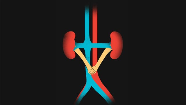 eine kreative Visualisierung von Venen, Arterien, Lungen und Händen