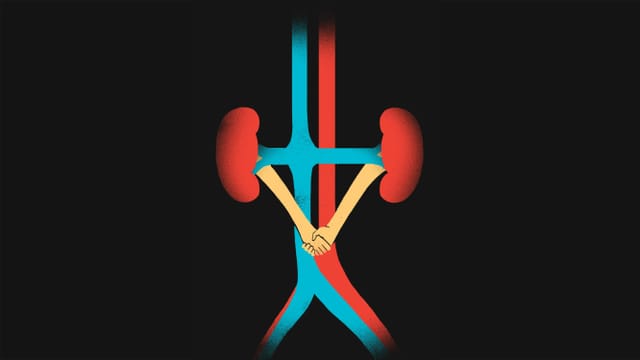 eine kreative Visualisierung von Venen, Arterien, Lungen und Händen eine kreative Visualisierung von Venen, Arterien, Lungen und Händen
