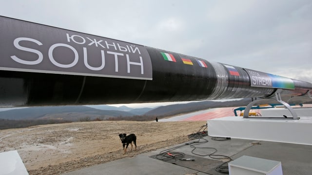 Stück einer Pipeline, ein Hund steht darunter. Stück einer Pipeline, ein Hund steht darunter.