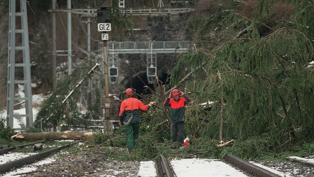 Umgestürzte Tannen blockieren eine Bahnstrecke. Umgestürzte Tannen blockieren eine Bahnstrecke.