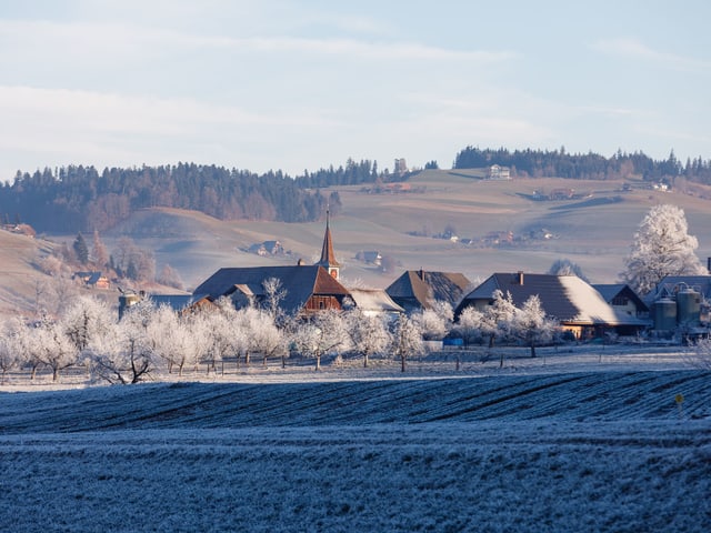 Kalt/ Warm, Unten im Tal an der Nebelgrenze ist alles tief gefroren und paar Meter Höher ist es Grün/ Braun.