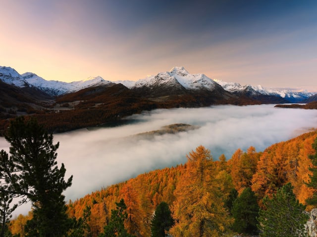 Nebel der ins Tal zieht. Darüber Sonnenaufgang mit farbigen Lärchen Nebel der ins Tal zieht. Darüber Sonnenaufgang mit farbigen Lärchen