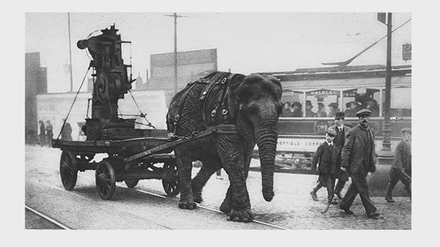 Elefant zieht eine Haubitze auf einem Karren ins Gefecht Elefant zieht eine Haubitze auf einem Karren ins Gefecht