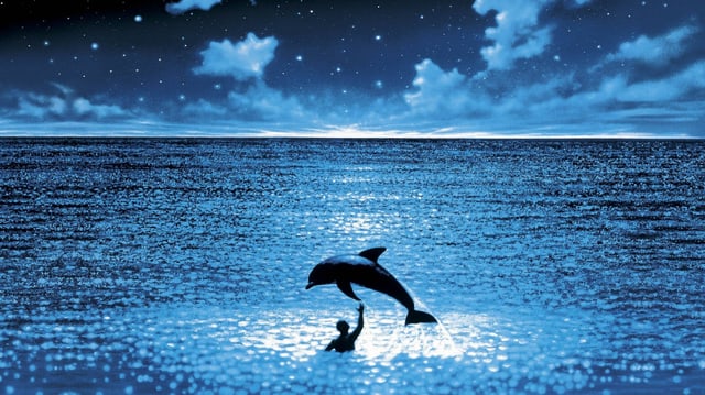 Das Meer bei Nacht, beleuchtet von Mondschein. Mittendrin ein Delfin, der über einen Jungen springt.