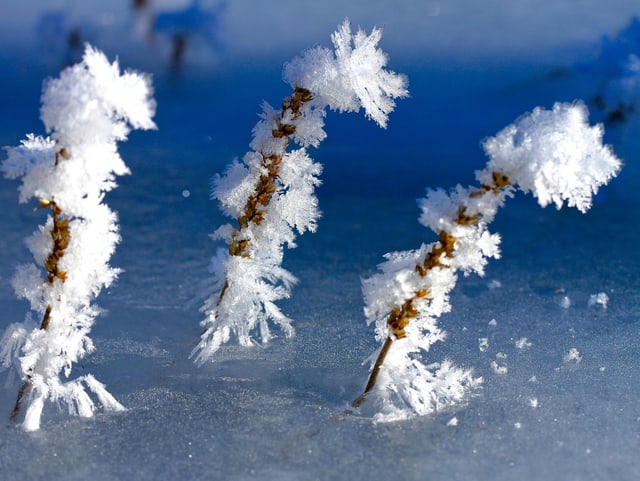 Eisskulpturen