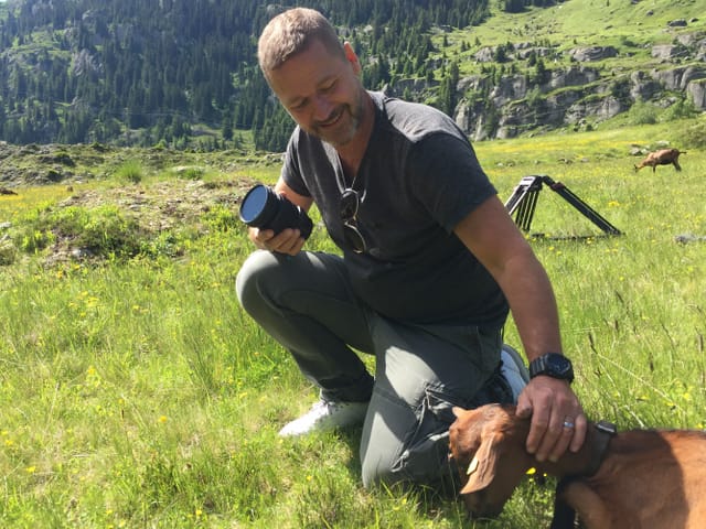 Mann kauert auf einer Bergwiese und streichelt eine Ziege
