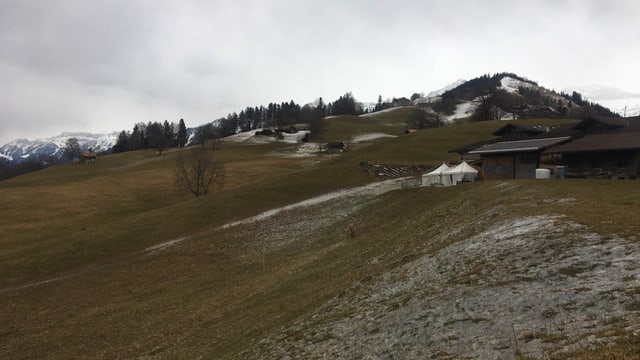 Apere Wiese im Skigebiet Apere Wiese im Skigebiet