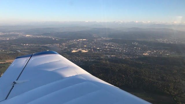 Flug Flug