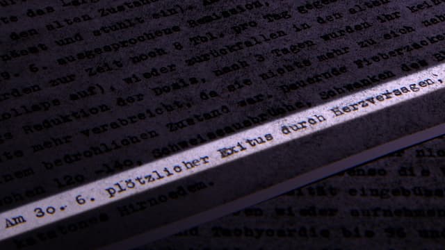 Ausschnitt aus dem Testbericht: «Am 30.6. plötzlicher Exitus durch Herzversagen.» Ausschnitt aus dem Testbericht: «Am 30.6. plötzlicher Exitus durch Herzversagen.»