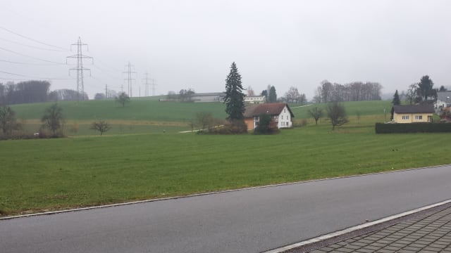 Wiese mit Strasse im Vordergrund. Wiese mit Strasse im Vordergrund.