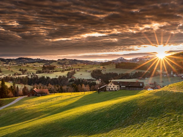 Sonnenaufgang über saftig grünen Wiesen.