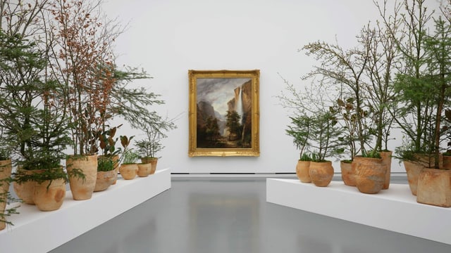 Sträucher vor einem Kunstwerk Sträucher vor einem Kunstwerk