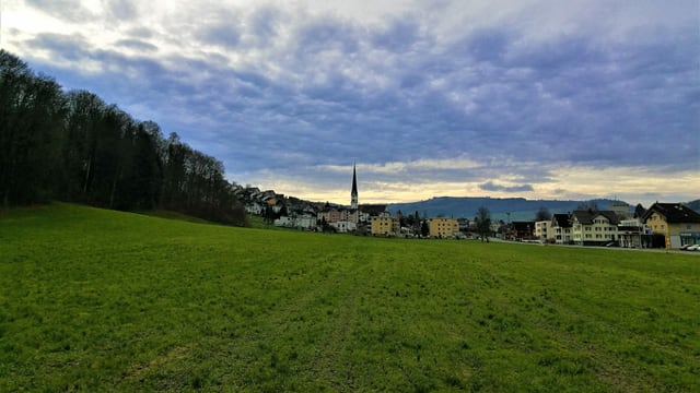 Blick auf eine satt-grüne Wiese, dahinter die Gemeinde Malters mit ihrem Kirchturm. Blick auf eine satt-grüne Wiese, dahinter die Gemeinde Malters mit ihrem Kirchturm.