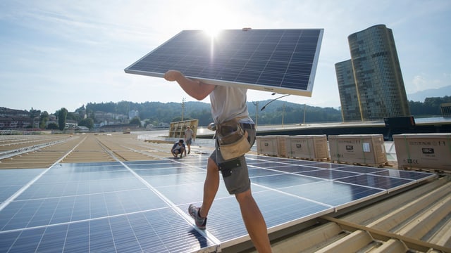 Solarzellen Solarzellen