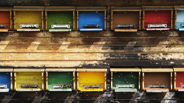 Bienenstock Bienenstock