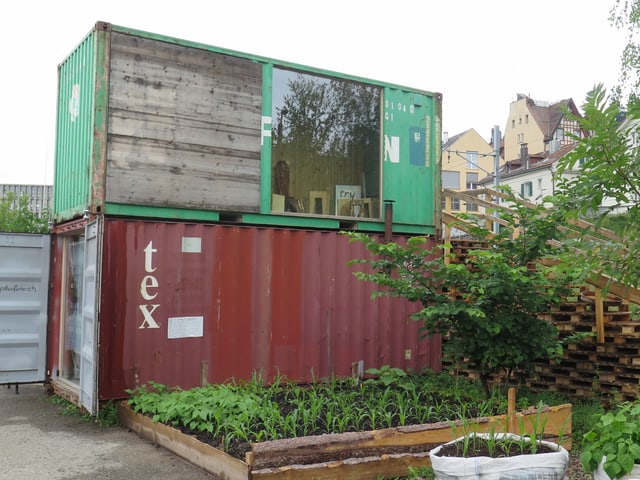 Farbige Container, Pflanzen Farbige Container, Pflanzen