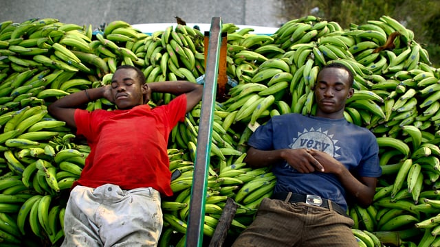Männer schlafen auf einer Bananen-Ernte in Haiti. Männer schlafen auf einer Bananen-Ernte in Haiti.