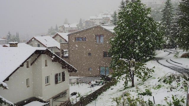 In Scuol schneite es am 20. Mai, sonst war es im Engadin aber meist viel zu warm. In Scuol schneite es am 20. Mai, sonst war es im Engadin aber meist viel zu warm.