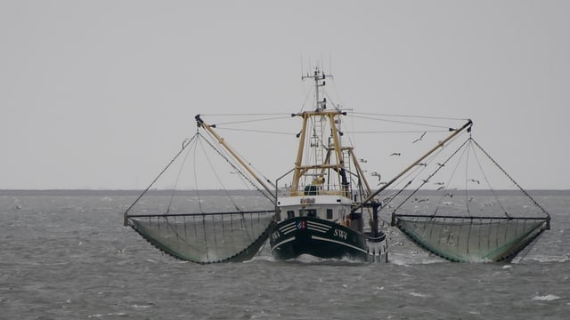 Fischkutter mit zwei vollen Netzen Fischkutter mit zwei vollen Netzen