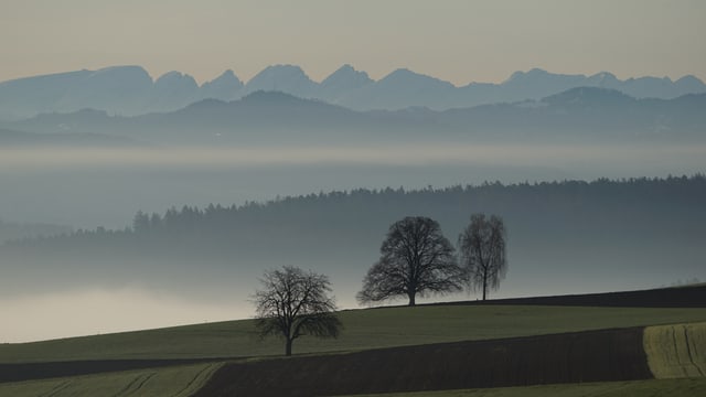 Blick von Hünikon zu den Churfirsten am Ostermontag 2016. Blick von Hünikon zu den Churfirsten am Ostermontag 2016.