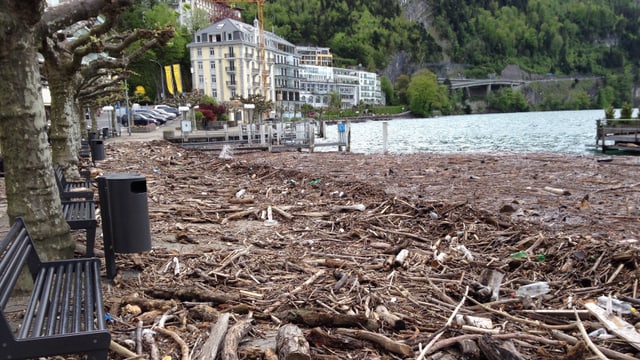 Der Föhn beförderte am Dienstagmorgen viel Schwemmholz an die Uferpromenade von Brunnen. Der Föhn beförderte am Dienstagmorgen viel Schwemmholz an die Uferpromenade von Brunnen.