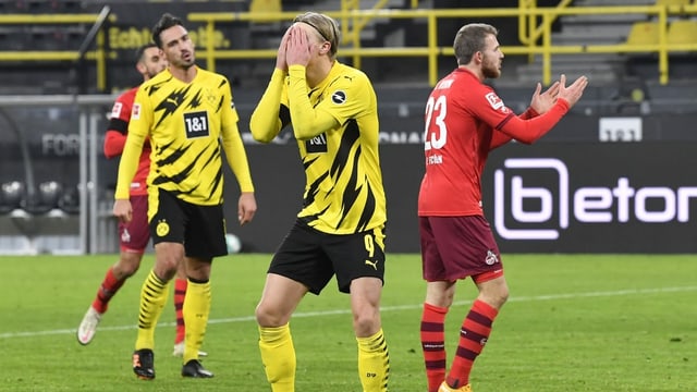 Erling Haaland Erling Haaland
