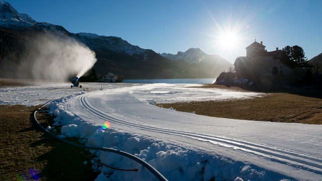 Eine Schneekanone auf einer Langlaufloipe aus Kunstschnee. Eine Schneekanone auf einer Langlaufloipe aus Kunstschnee.