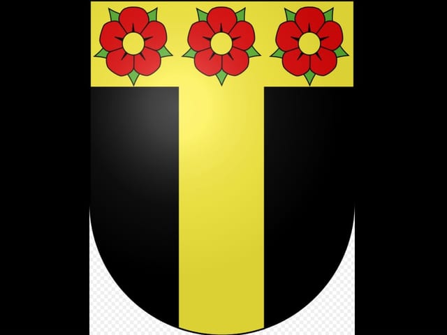 Abstimmungs-Sonntag - Abstimmungen und Wahlen in der Region - News - SRF