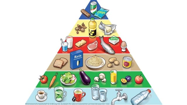 La piramida da nutriment. La piramida da nutriment.