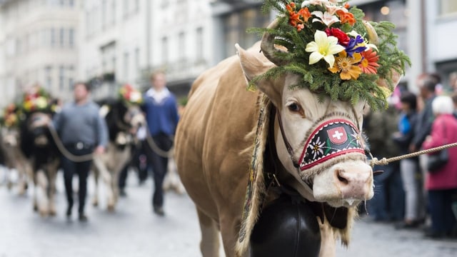 Wenn die Olma ruft, fliesst in St. Gallen das Geld