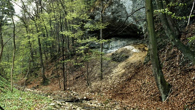 Höhle im Wald. Höhle im Wald.