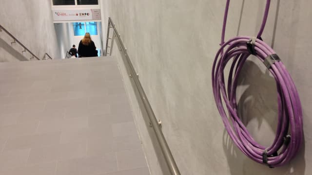 Stgala e cabel che penda vida la parait Stgala e cabel che penda vida la parait