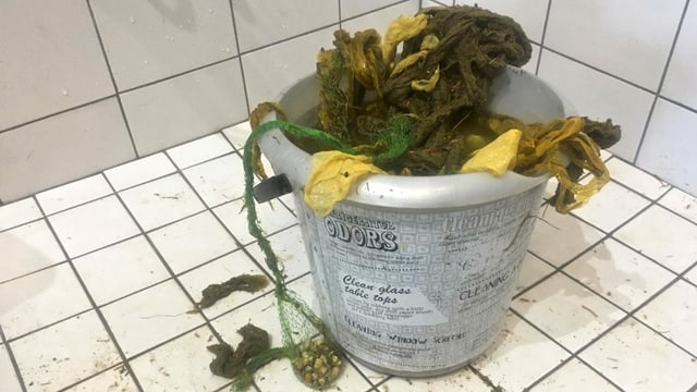 Ein Eimer mit Abfällen Ein Eimer mit Abfällen