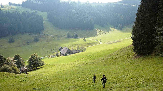 Emmental mit Bauernhof Emmental mit Bauernhof