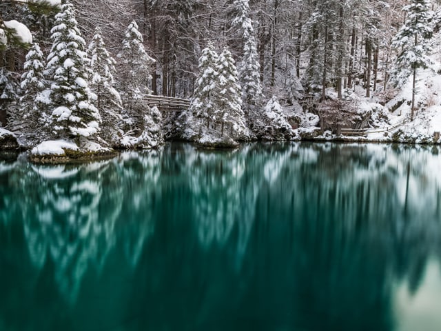 Türkis Farbene Seeoberfläche und verschneite Tannen im Hintergrund.