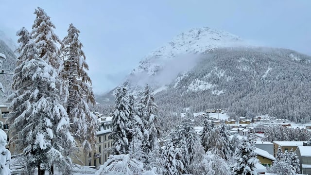Verschneite Winterlandschaft in Pontresina. Verschneite Winterlandschaft in Pontresina.