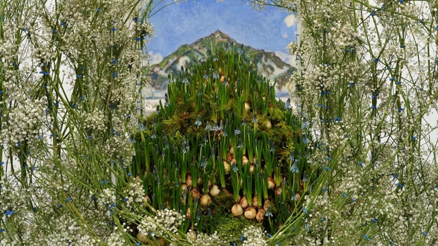 Pflanzen vor einem Kunstwerk Pflanzen vor einem Kunstwerk