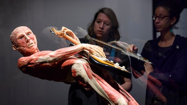In der Ausstelung Körperwelten in Genf. Ein Mensch spielt auf einer Gitarre. In der Ausstelung Körperwelten in Genf. Ein Mensch spielt auf einer Gitarre.