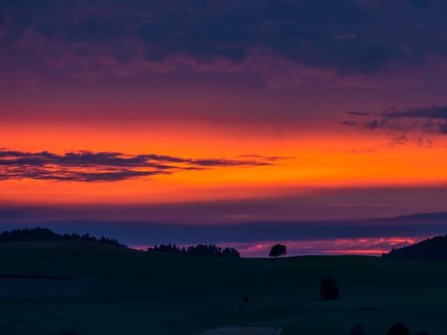 Rosa bis oranger Himmel, unten noch dunkle Wiesen mit Bäumen.