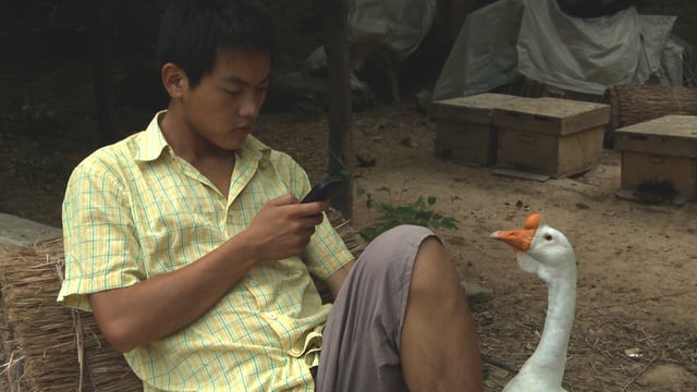 Video «Der Imker und sein Sohn» abspielen Video «Der Imker und sein Sohn» abspielen